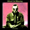 Blind Cat Missing (2024)